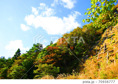 三重県三重郡菰野の紅葉の風景、秋、秋景色、秋色、【10月】 70936777