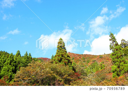 三重県三重郡菰野の紅葉の風景、秋、秋景色、秋色、【10月】 70936789