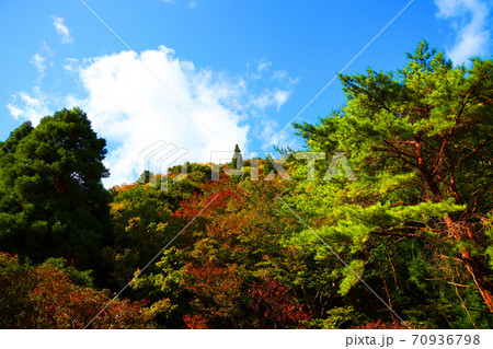 三重県三重郡菰野の紅葉の風景、秋、秋景色、秋色、【10月】 70936798