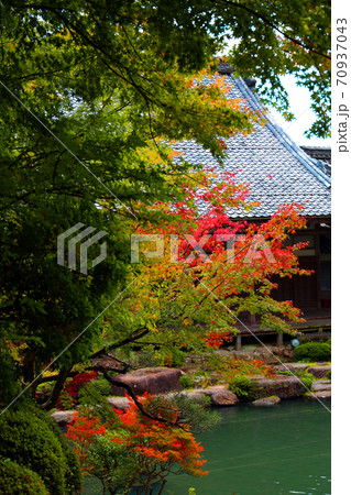 滋賀県東近江市の百済寺の紅葉風景、秋、秋景色、秋色、【10月】 70937043