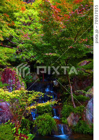 滋賀県東近江市の百済寺の紅葉風景 秋 秋景色 秋色 10月 の写真素材