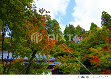 滋賀県東近江市の百済寺の紅葉風景、秋、秋景色、秋色、【10月】 滋賀県東近江市の百済寺の紅葉風景、秋、秋景色、秋色、【10月】 70937077