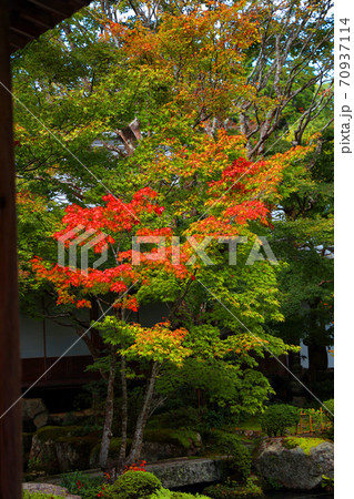 滋賀県東近江市の百済寺の紅葉風景、秋、秋景色、秋色、【10月】 滋賀県東近江市の百済寺の紅葉風景、秋、秋景色、秋色、【10月】 70937114