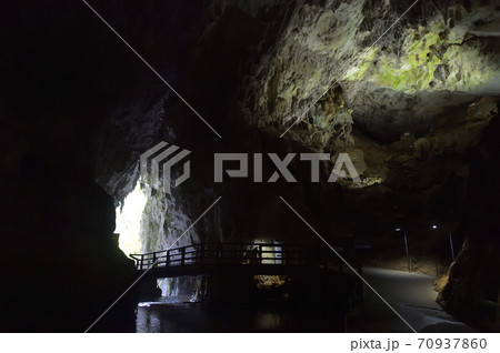 (山口県)　秋芳洞　出口付近の風景 70937860