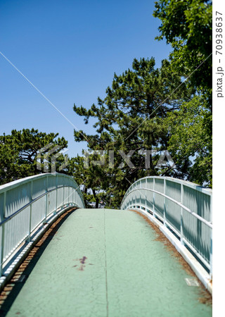 青空と松林へ続く歩道橋・新蒟蒻橋 青空と松林へ続く歩道橋・新蒟蒻橋 70938637