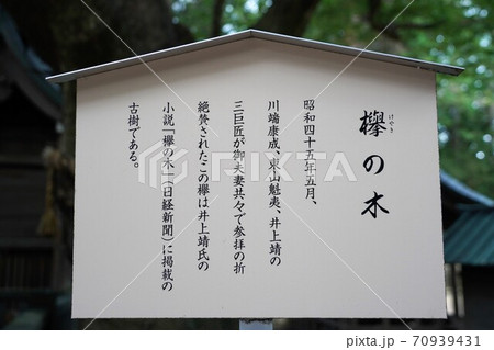 凛とした静寂の信州あずみ野穂高神社(欅の木) 凛とした静寂の信州あずみ野穂高神社(欅の木) 70939431