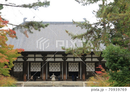 色づき始めたモミジと唐招提寺金堂 70939769