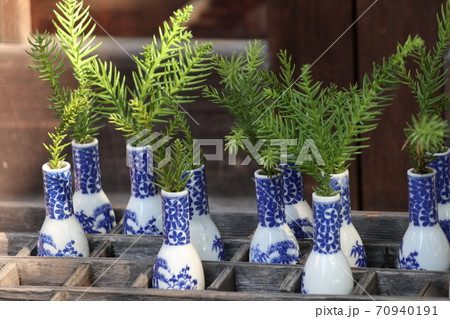 神社の本殿に置かれたお供え物の植物 神社の本殿に置かれたお供え物の植物 70940191