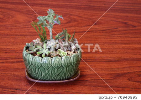 多肉植物の寄せ植え、和風鉢 多肉植物の寄せ植え、和風鉢 70940895