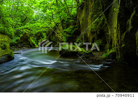 夏の樽前ガローで苔と川の流れ① 70940911