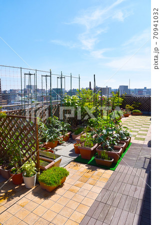 東京都大田区のマンションのルーフバルコニーをグリーンガーデン おうち時間にガーデニングリラックス空間の写真素材
