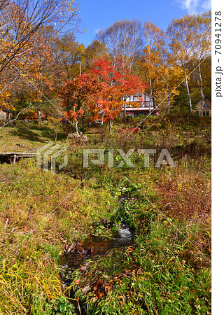 白樺湖湖畔の紅葉 白樺湖湖畔の紅葉 70941278