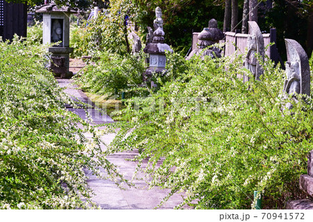 萩の寺 実性院 萩の寺 実性院 70941572