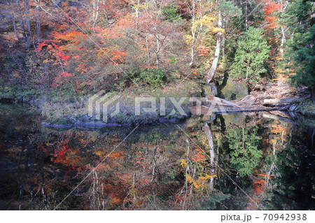 紅葉の小又峡 紅葉の小又峡 70942938