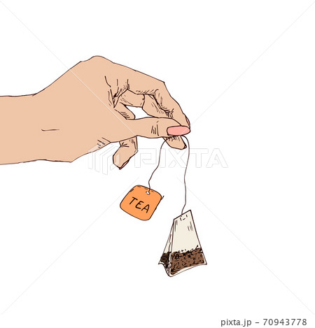 Female hand with tea bag flat style. Tea time. Woman's hand holding tea bag, painted by hand. Making a tea. Vector isolated illustration. Female hand with tea bag flat style. Tea time. Woman's hand holding tea bag, painted by hand. Making a tea. Vector isolated illustration. 70943778