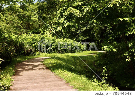 大雪旭岳源水公園 70944648