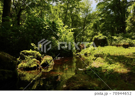 大雪旭岳源水公園 70944652