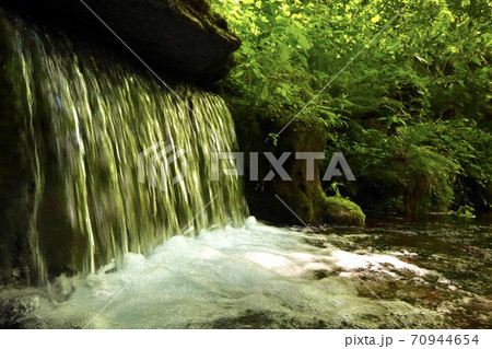 大雪旭岳源水公園 大雪旭岳源水公園 70944654