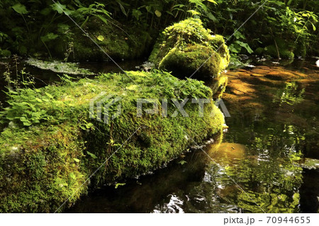 大雪旭岳源水公園 70944655
