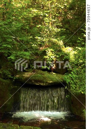 大雪旭岳源水公園 70944657