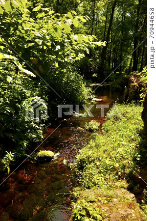 大雪旭岳源水公園 大雪旭岳源水公園 70944658