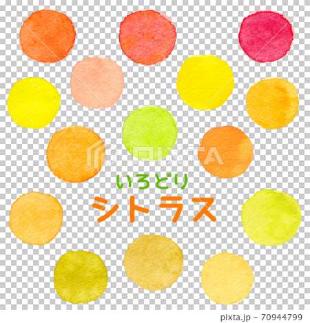 Colorful watercolor icon citrus 70944799