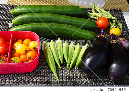 家庭菜園　おうち時間　いろいろ収穫　自給自足 70944939