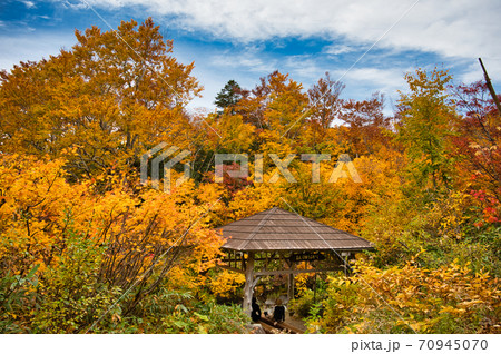 青森県八甲田 地獄沼周辺のまんじゅうふかしの紅葉風景 青森県八甲田 地獄沼周辺のまんじゅうふかしの紅葉風景 70945070