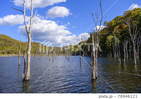 北海道 赤井川村 落合ダム 北海道 赤井川村 落合ダム 70946121