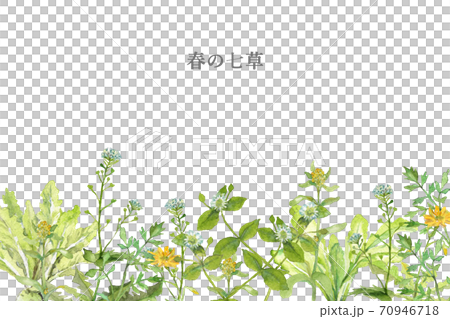 Spring seven herbs watercolor frame 70946718