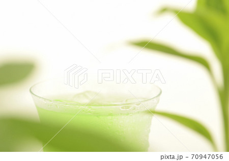 観葉植物 70947056