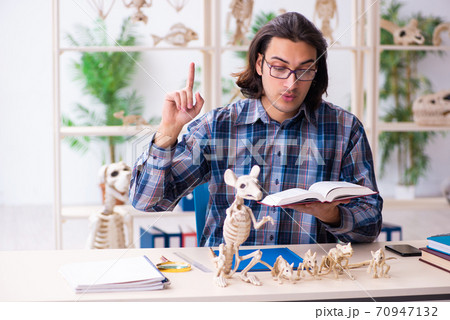 Young male teacher paleontologist in the classroom Young male teacher paleontologist in the classroom 70947132