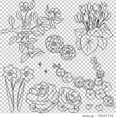 冬季梅花，鋼筆劃，手寫 70947739