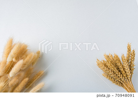 cereals rye and wheat tied in a bouquet on a white background 70948091