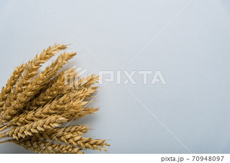 bouquet of yellow rye on a white background 70948097