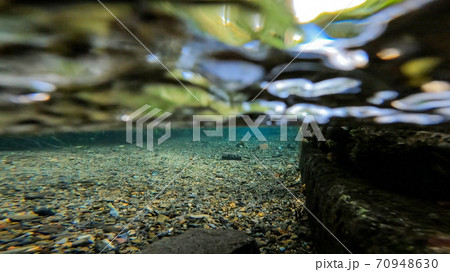 清流 水中撮影 70948630