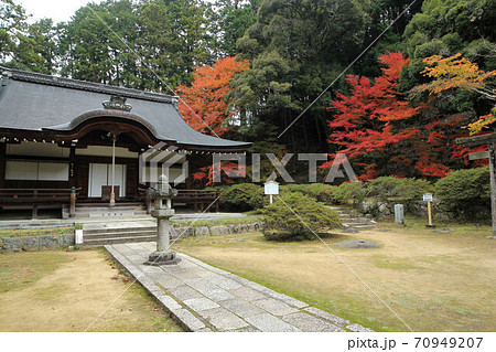 大阪 弘川寺の紅葉 大阪 弘川寺の紅葉 70949207