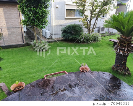庭の芝生 70949313