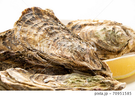 殻付き牡蠣・レモン添え。(白バック) 殻付き牡蠣・レモン添え。(白バック) 70951585