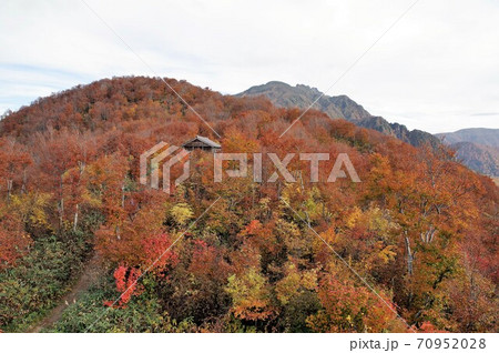 八海山ブナの紅葉 70952028