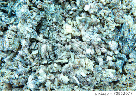 シュレッドチーズに発生したカビ シュレッドチーズに発生したカビ 70952077