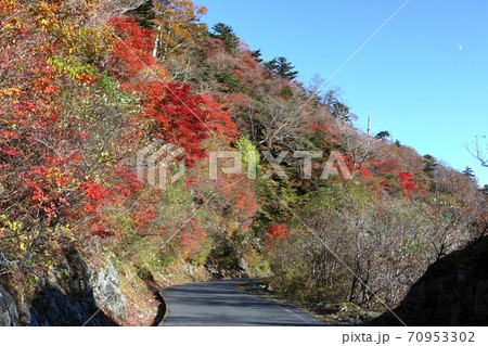 紅葉のUFOライン (高知県 町道瓶ヶ森線) 紅葉のUFOライン (高知県 町道瓶ヶ森線) 70953302