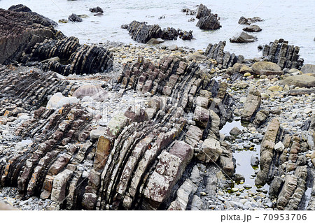 行当黒耳海岸【室戸世界ジオパーク】 70953706