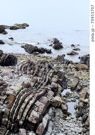 行当黒耳海岸【室戸世界ジオパーク】 70953707