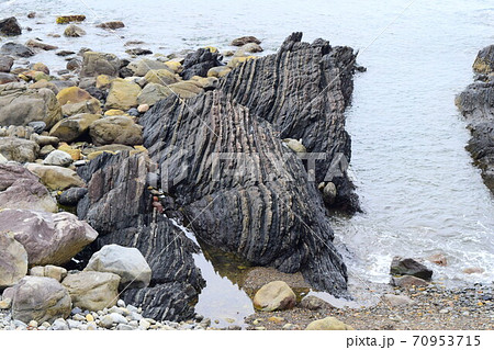 行当黒耳海岸【室戸世界ジオパーク】 行当黒耳海岸【室戸世界ジオパーク】 70953715
