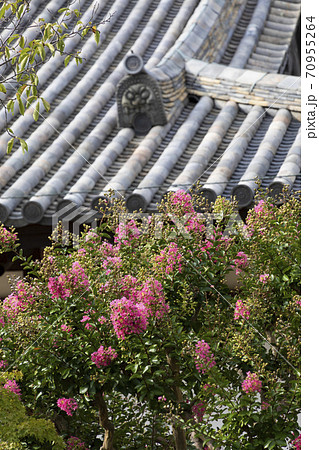 新薬師寺の鬼瓦とサルスベリ 70955264