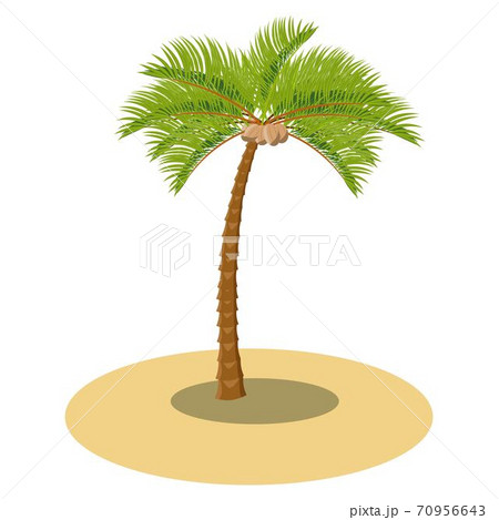 Vector coconut palm tree on the sand.... - Stock Illustration [70956643] -  PIXTA