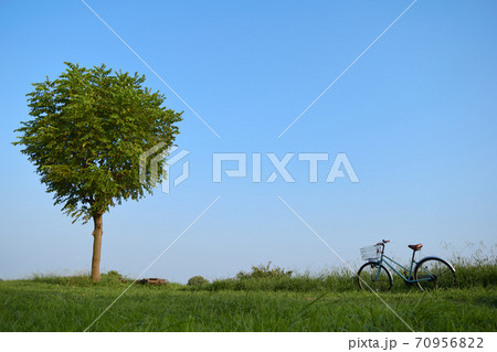 1本の木 青空と地平線 静かにたずむ自転車 の写真素材