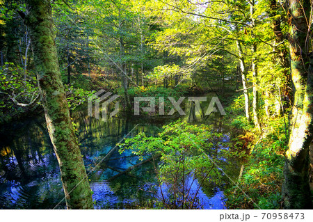 北海道清里町清泉神の子池 70958473