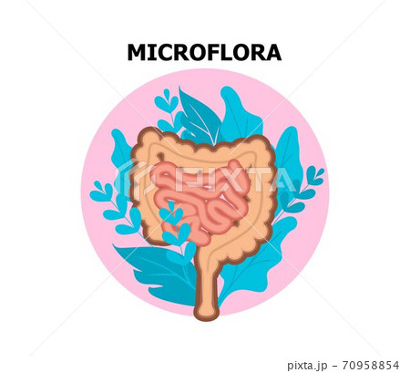 gastrointestinal tract medical concept icon gastrointestinal tract medical concept icon 70958854